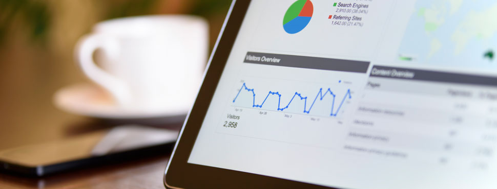 Tailored software solutions for your business